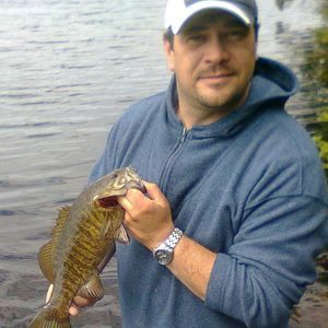 Meet your Posher, Laurie